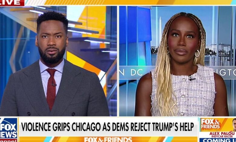 Former Biden aide slams lawmaker’s anti-Israel rant, weighs in on Trump’s Chicago crime plan | Fox News Video Former Biden aide slams lawmaker’s anti-Israel rant, weighs in on Trump’s Chicago crime plan | Fox News Video