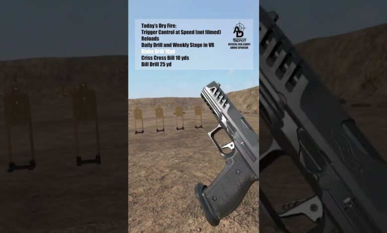 Mixing Dry Fire and VR Training