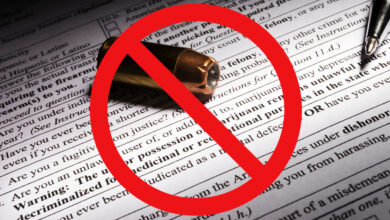 Nevada Gun Sales Halted For Nearly Two Weeks As State Background Check System Remains Down