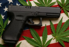 SAF Appeals Federal Ruling Blocking Medical Marijuana Patients From Owning Guns