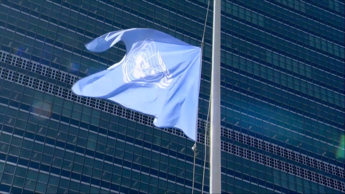 United Nations flag