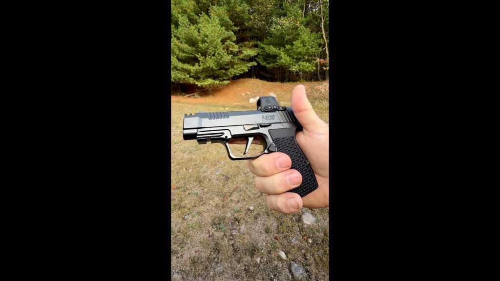 Thoughts about the new SIG .380 LUXE? 👀