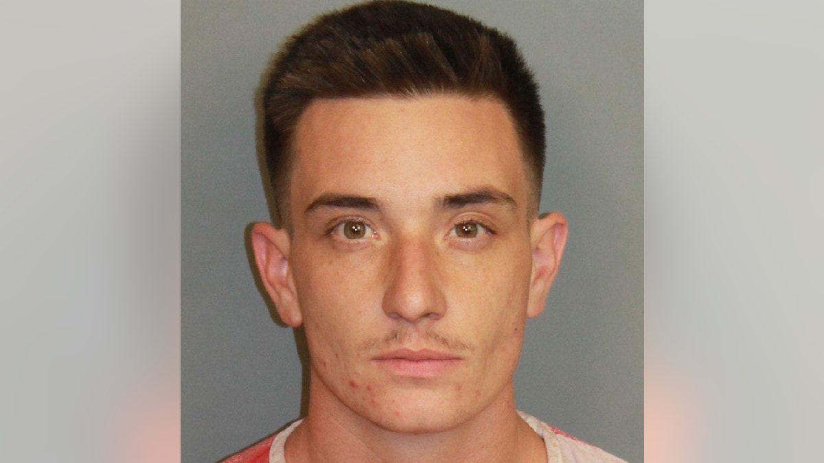 Tyler Whitehead booking picture