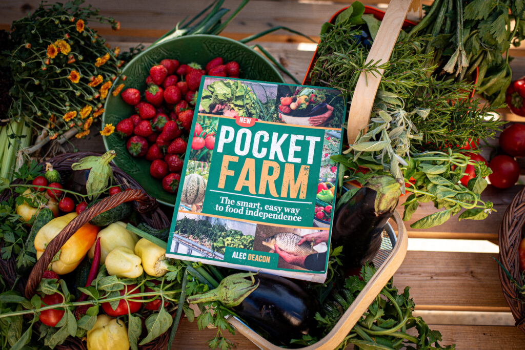 How I Finally Became Food Independent – Survivopedia