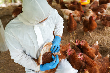 First Human Bird Flu Case In 9 Months: Person Was Infected With A New Strain First Human Bird Flu Case In 9 Months: Person Was Infected With A New Strain