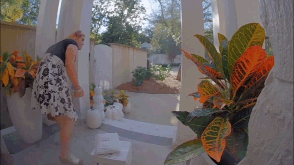 Alleged porch pirate in women’s clothing busted after surveillance video goes viral: ‘Particular look’ Alleged porch pirate in women’s clothing busted after surveillance video goes viral: ‘Particular look’