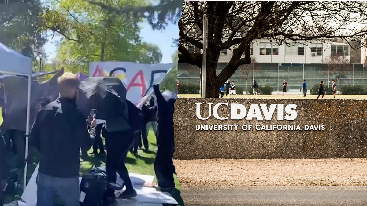 Protesters at UC Davis during a Turning Point USA event
