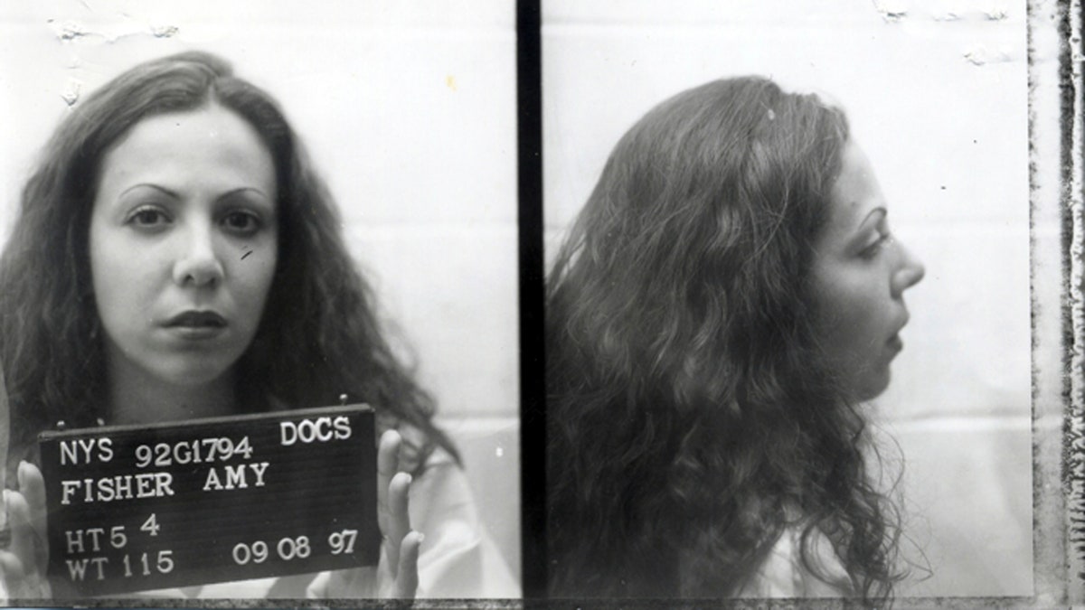 Amy Fisher mugshot