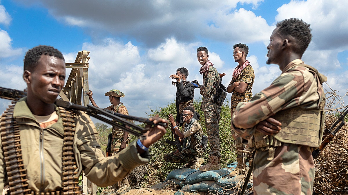 Somali National Army