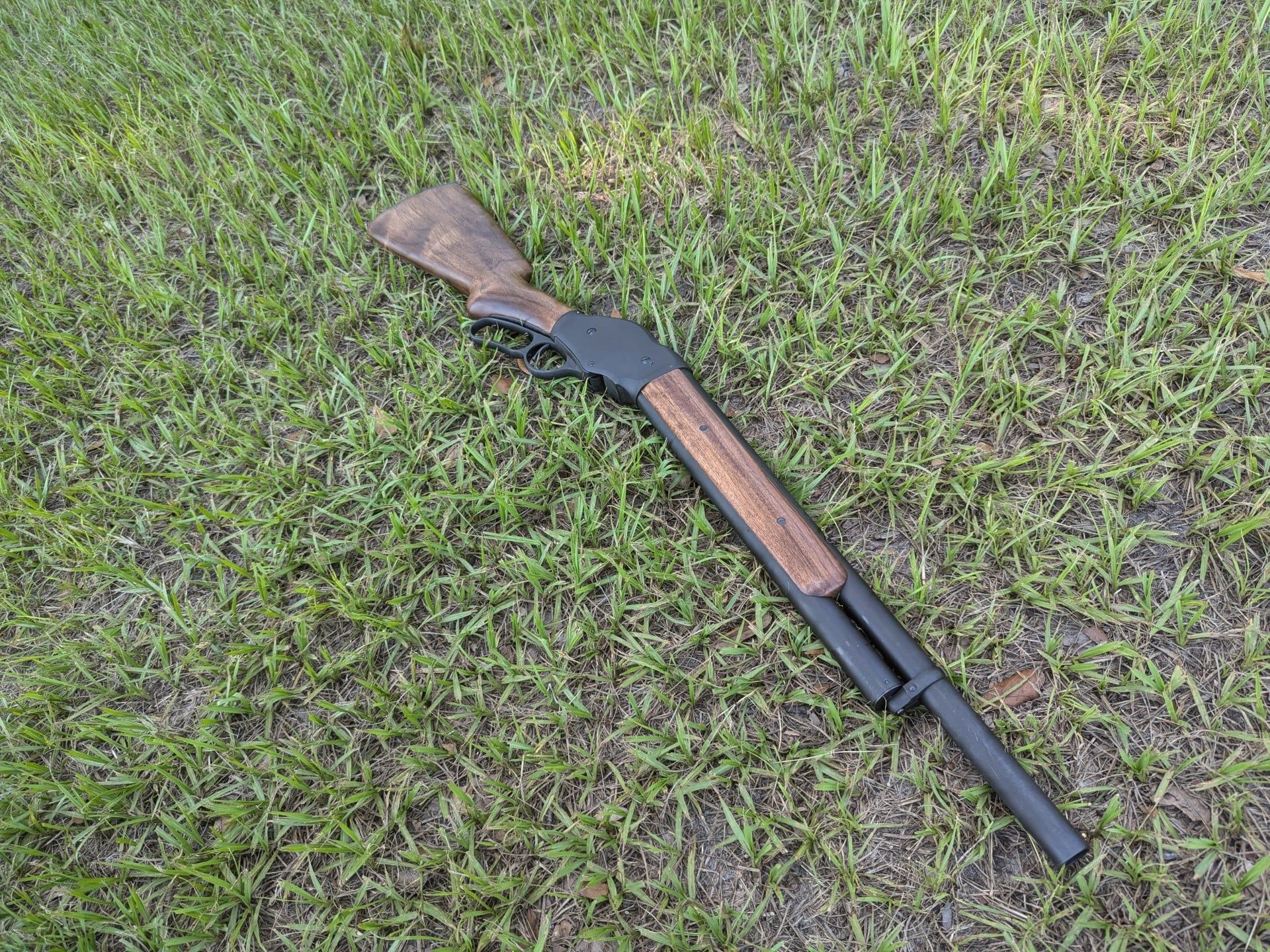 Cimarron on ground