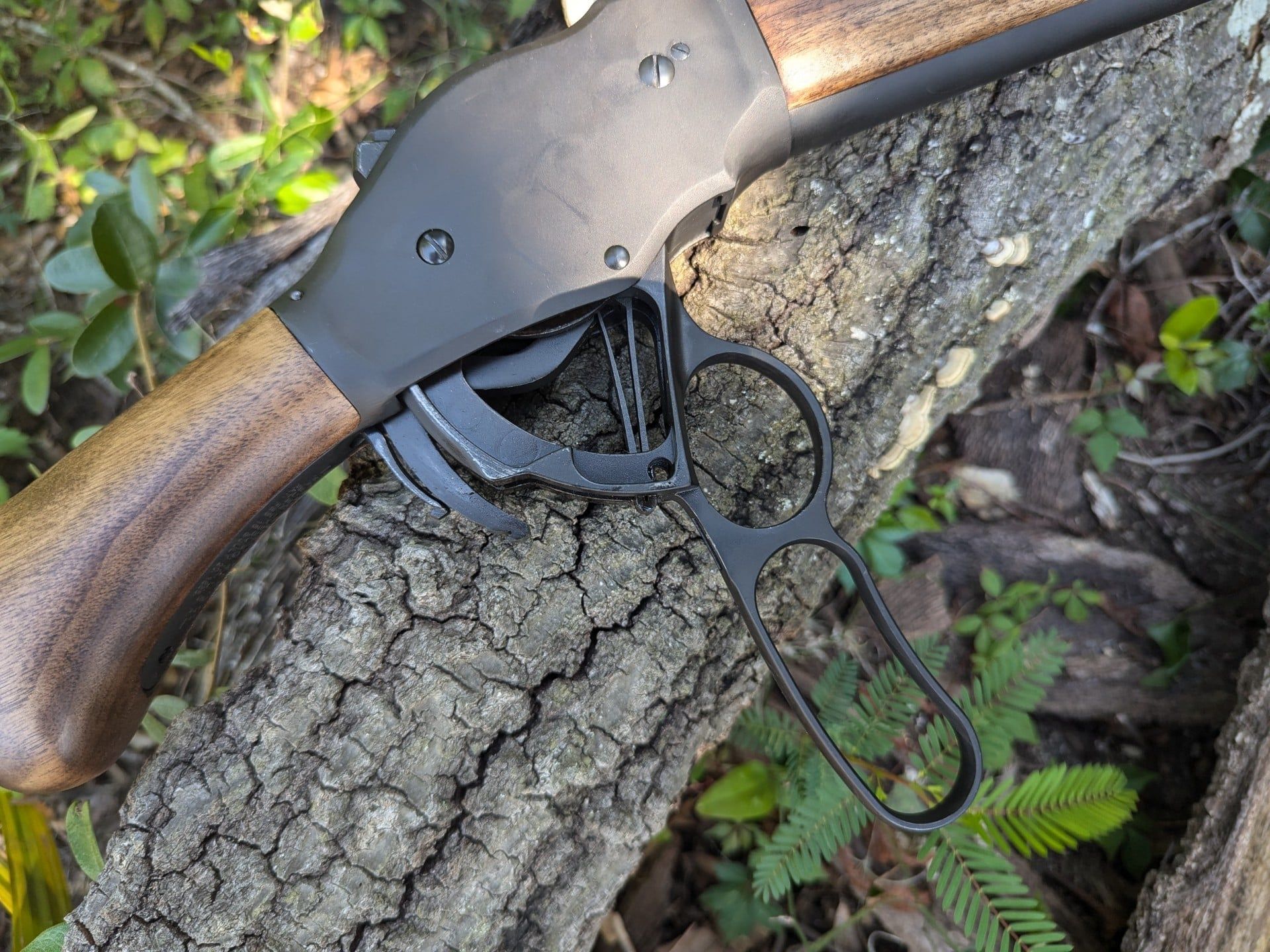 Cimarron 1887 lever