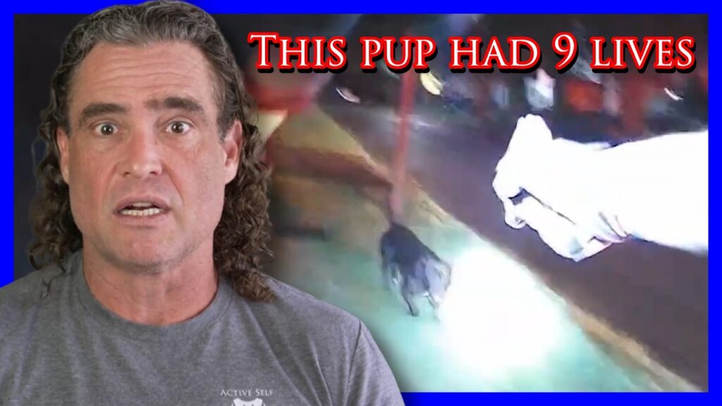 Homeowner Can't Control His Dog Or Emotions | Active Self Protection