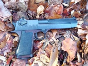 Desert Eagle .44 Magnum