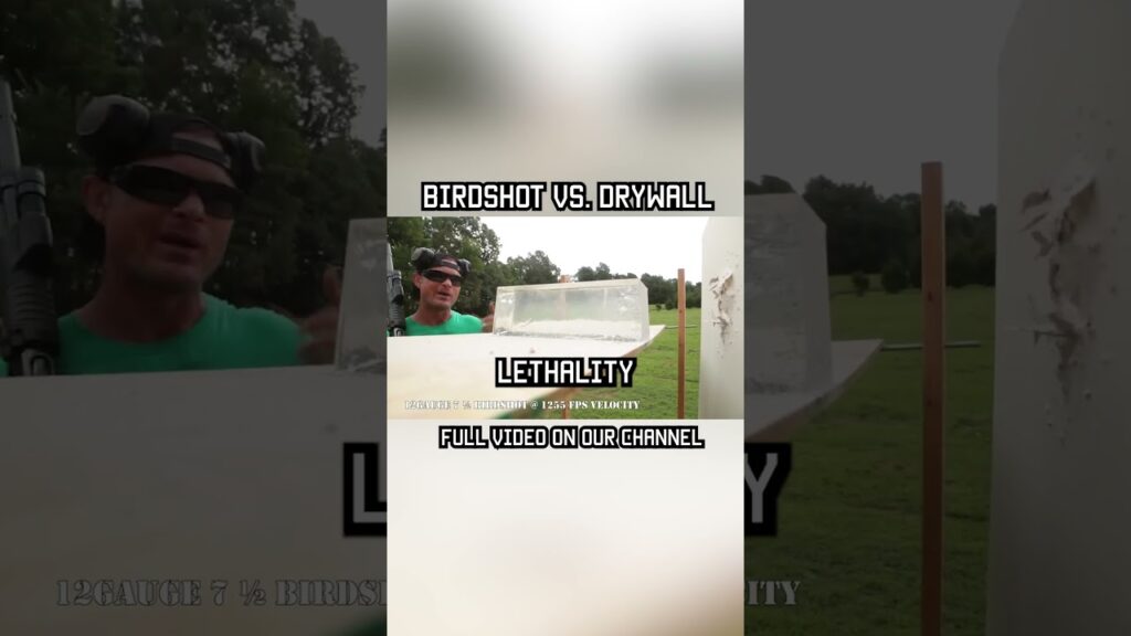 BIRDSHOT vs. DRYWALL #shorts #shotgun #military